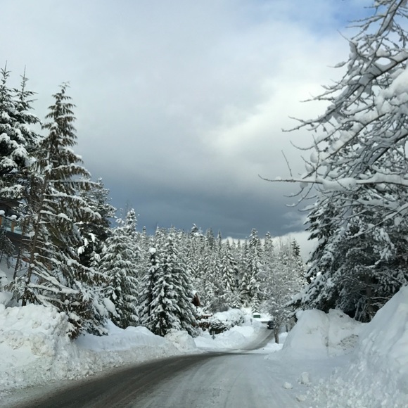 Meet your Posher, Andrea - Picture 9 of 15